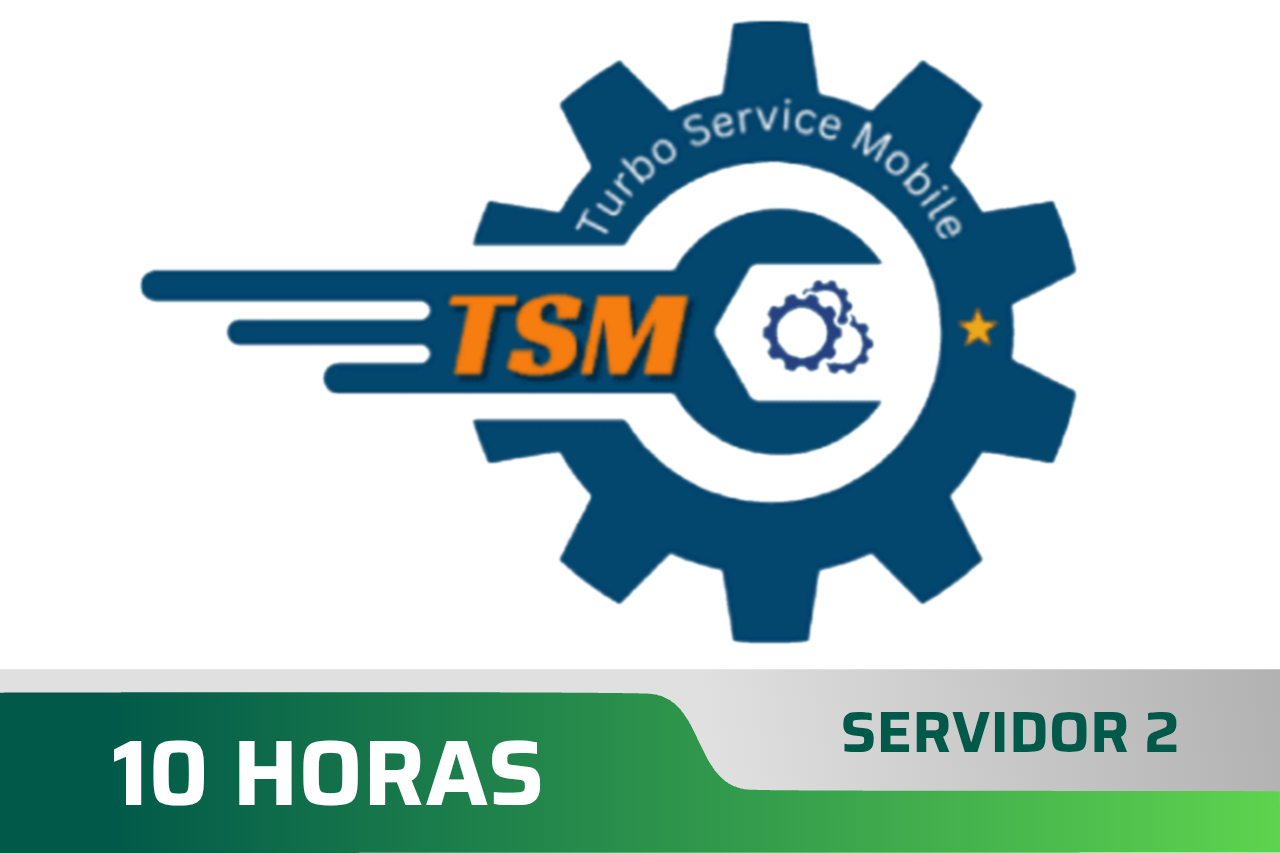 TSM Tool - Aluguel 10H (Login + Senha) - Servidor 2 ✅